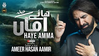 Ayyam E Fatima Noha 2023 | Haye Amma | Ameer Hasan Aamir | Shahadat Bibi Fatima Zehra Noha 2024/1445