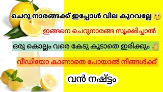 നാരങ്ങ നീര് എങ്ങിനെ കേട് കൂടാതെ സൂക്ഷിക്കാം /#lemon #നാരങ്ങ #lemonjuice #easylemonjuice