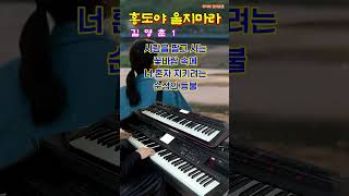 😍 홍도야 울지마라 1 -김영춘/전자올겐 디스코 메들리/흘러간 옛노래/Korean Old Pop song