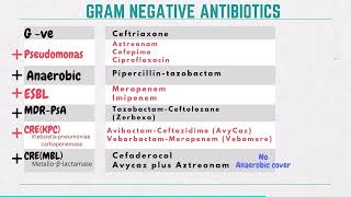 Spectrum Of Gram Negative Antibiotics Simplified. 30 Seconds Recap