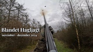 Blandet Hagljagt november - december - Mixed Hunts!