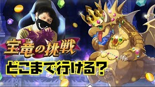 【ドラガリ 】宝竜の挑戦　実装初日　行けるとこまで突き進む