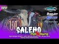 DJ BANTENGAN‼️-(Saleho)•|Vatsasura||@Paijoremixerofficial