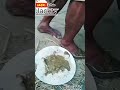 vidio terbaru makanan prindapan ter enak #viral #lucu