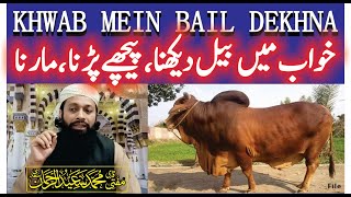 Khwab Mein Bail Dekhna Ki Tabeer | خواب میں بیل دیکھنا | Ox In Dream Meaning | Mufti Saeed Saadi