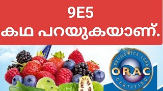 9E5 കഥ പറയുകയാണ്.