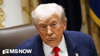 ‘Shows how unhinged he is!’: GOP strategist calls out Trump on his treatment of female reporters