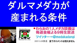 ダルマメダカが産まれる条件 滋賀県のメダカ販売店 めだか藁屋 高木正臣