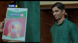 Sheath Blight Cure in Rice: Maximize Your Yield with Nativo (Punjabi) | Bayer Crop Science India