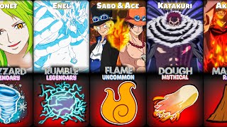 All Elemental Devil Fruit Powers In One Piece | Blox Fruits