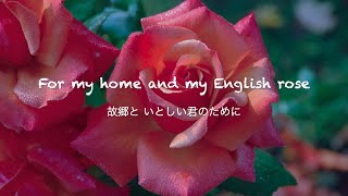 English Rose - Ed Sheeran [和訳]