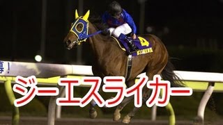 競馬タウン アフター5スター賞 大井競馬 11R2012年８月29日ジーエスライカー