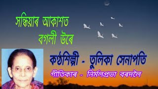 Sandhiyar aakashot bogoli ure.( সন্ধিয়াৰ আকাশত বগলী উৰে )