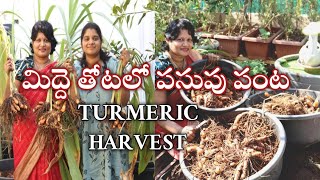 Turmeric Harvest||మన పసుపు మనమే పండించు కుందాం సులువుగా రెట్టింపు సంతోషంతో  part-1 #gardening