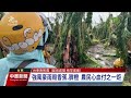 颱風海葵／橫掃東台灣 台11線路樹倒地影響通行｜20230904 公視中晝新聞