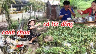 Bữa Cơm Quê Sườn Ram Canh Chua Cá Lóc