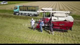 中道農園の稲刈り　ドローン空撮（４K）　甲賀市水口町　Aerial view with drone of Harvesting organic rice  with YANMER combine.