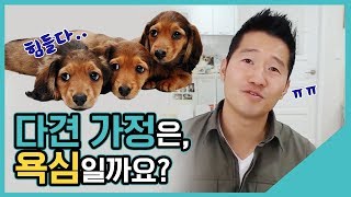 다견 가정은 욕심일까요?｜수밤라이브