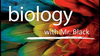 Biology, 6th ed. 2 Minute Sample Video