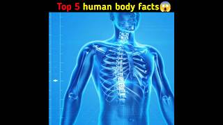 Top 5 amazing facts about human body || #shorts #youtubeshorts #shortvideo #facts @MRINDIANHACKER