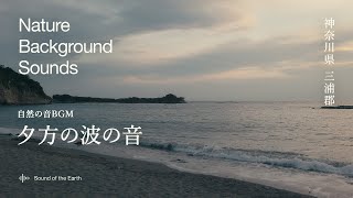 【自然の音】夕方の海の波音 | リラックス・瞑想・睡眠に最適な自然音 BGM