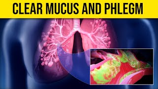 Foods that Deeply Clear Mucus/Phlegm in Respiratory Tract