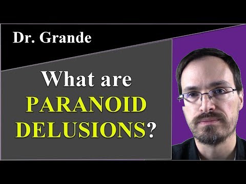 What is a persecutory delusion?