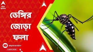 Dengue : রাজ্যে একসঙ্গে হানা দিচ্ছে ডেঙ্গির দুই প্রজাতি : ডেঙ্গ্ ২ ও ডেঙ্গ্ ৩ সেরোটাইপ