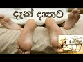 lil rome _ dan daanawa දැන් දානවා