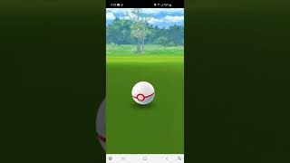 ポケモンGO。シャドウニューラの色違い#shorts