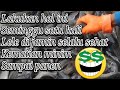 Cara mencegah ikan lele dari penyakit ~ Surya utama 22