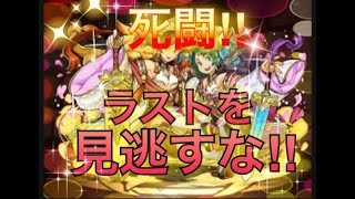 【パズドラ】256倍の高火力だけど.....。転生大喬小喬で極限の運ゲーを制したい!!