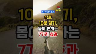 식후 10분만 걸어도 얻을 수 있는 7가지 건강효과  #건강정보 #건강