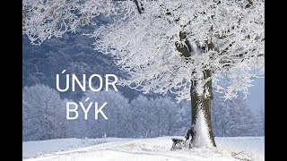 ÚNOR - BÝK♉ Vztahy, Práce, Obecné energie