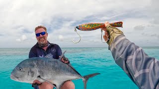 Giant fish PACK ATTACKS in one metre of water on the REEF!!!