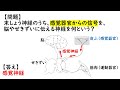 【中2理科一問一答③】排出・感覚器官・運動・動物・生物の進化／聞き流し／図解あり