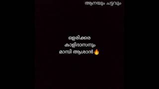 മാമ്പി ആശാൻ🔥ചിറക്കൽ കാളിദാസൻ❤️ഒളരിക്കര കാളിദാസൻ 🔥