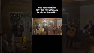 Mariachi Tequila en Puerto Rico 939-224-1016 te garantizamos un servicio de calidad y eficiencia