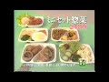 懐かcm　１９９４年　３月　セブンイレブン　惣菜セット　石田ひかり