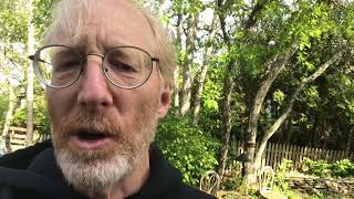 Cape Cod Chronicle Video Preview