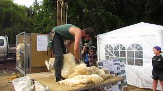 Blade Shearing Demonstration at Lake Hayes