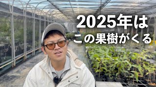 2025年にくる果樹はこれだ