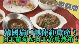 2018.12.08大政治大爆卦完整版　韓國瑜口誤捧紅農產！白玉蘿蔔＆白玉苦瓜熱銷！