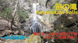 笹の滝 Sasanotaki Falls・【奈良吉野 川上村】大小２つの親子滝⁉降り注ぐ上部と幾筋の下部～水の秘境～