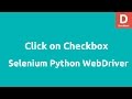 Python Selenium Click on Checkbox