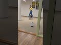 Doggy vs robot