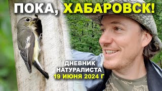 Хабаровск / Итоги. 19 июня 2024 г.