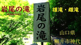 岩尾の滝　雄滝・雌滝　山口県柳井市 no,1065