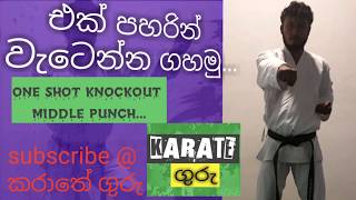 Shotokan karate middle punch..how to apply..එක පහරින් වැටෙන්න ගහමු..