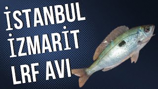 İstanbul'da LRF ile İzmarit ve İstavrit Avı - Kokulu Silikon Farkı #lrf #lightrockfishing #balıkavı